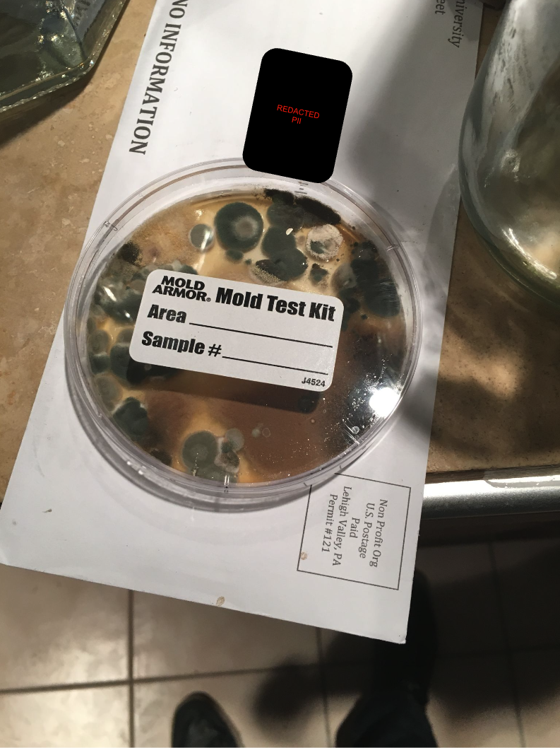 Mold test
